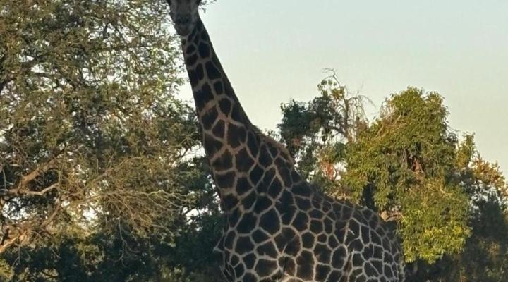 Ba-Phalaborwa Resort and Golf Course