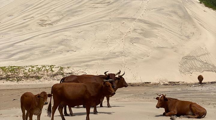 Mazeppa Sunrise Beach Accommodation