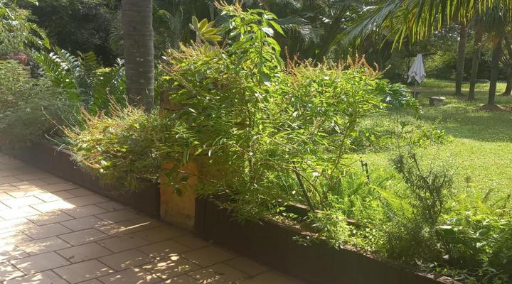 Tropicana Lodge & Function Venue