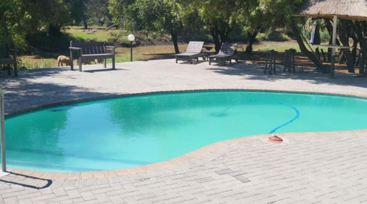 Binne bos gasteplaas