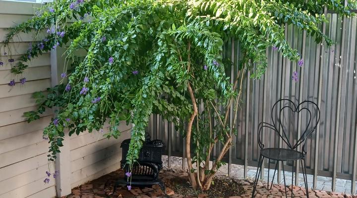 The Duke Guest Rooms