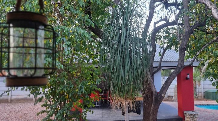 Fire and Ice Guesthouse