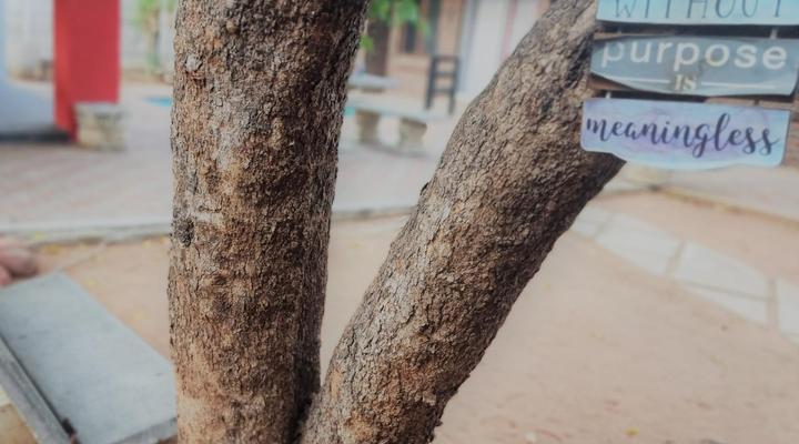 Fire and Ice Guesthouse