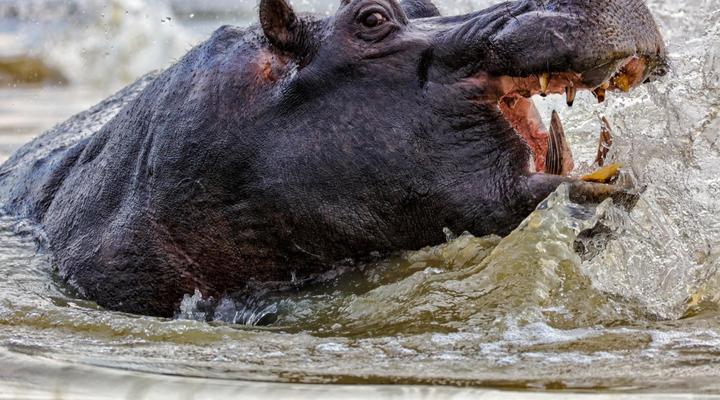 Thaba Khaya Lodge, Sable Ranch