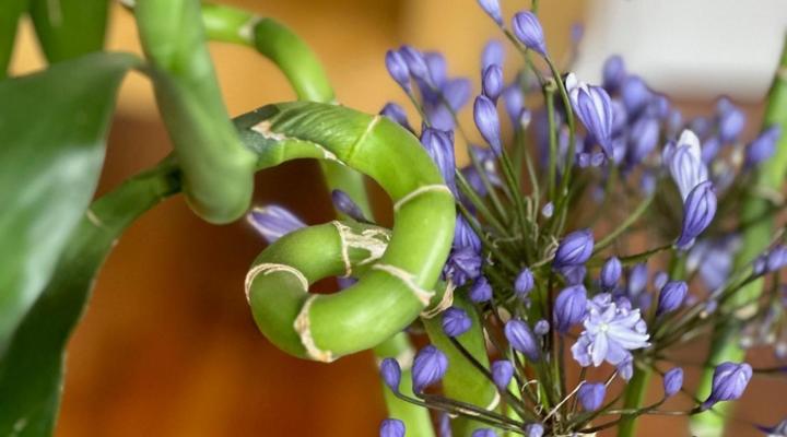 Loloho Lodge - 24h power