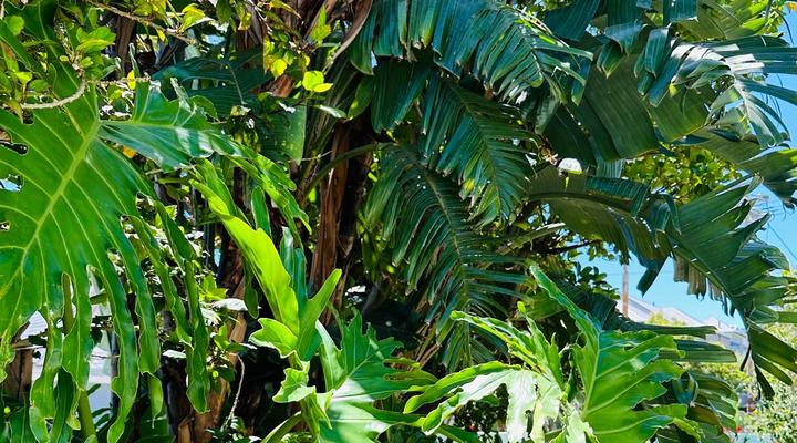 Loloho Lodge - 24h power