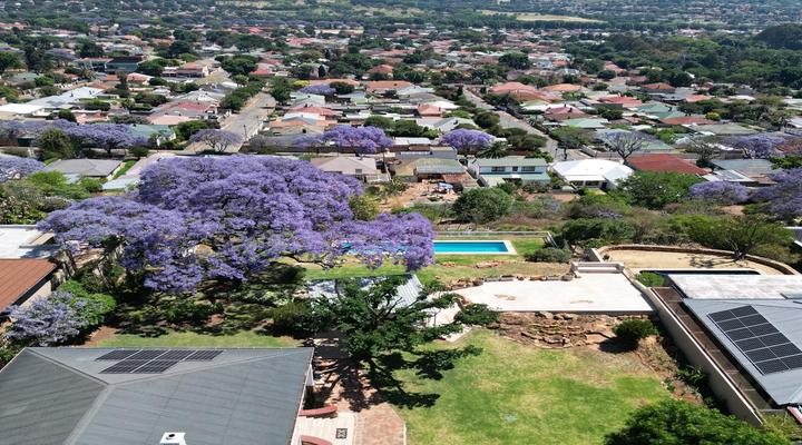 Fish Bird Art Deco Villa