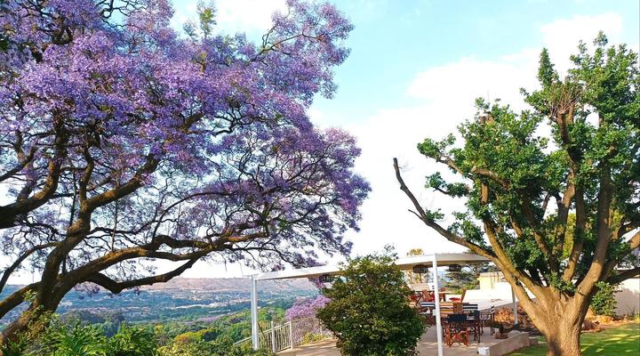 Fish Bird Art Deco Villa