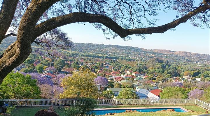 Fish Bird Art Deco Villa