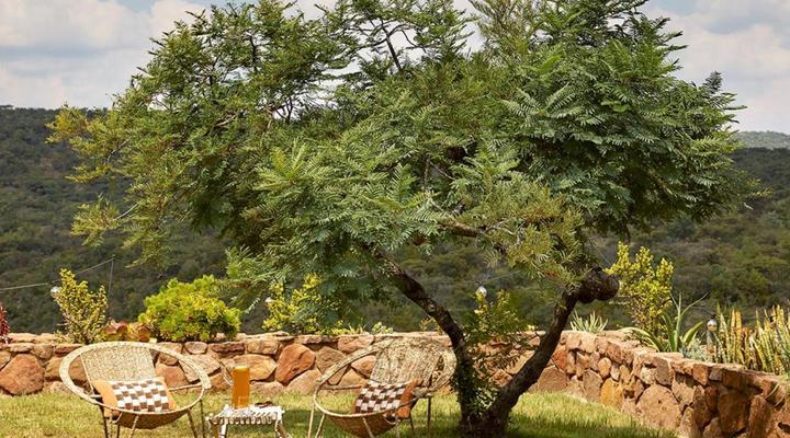 Matomo Exclusive Luxury Safari Lodge