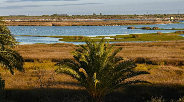 Velddrif Riverside Guesthouse
