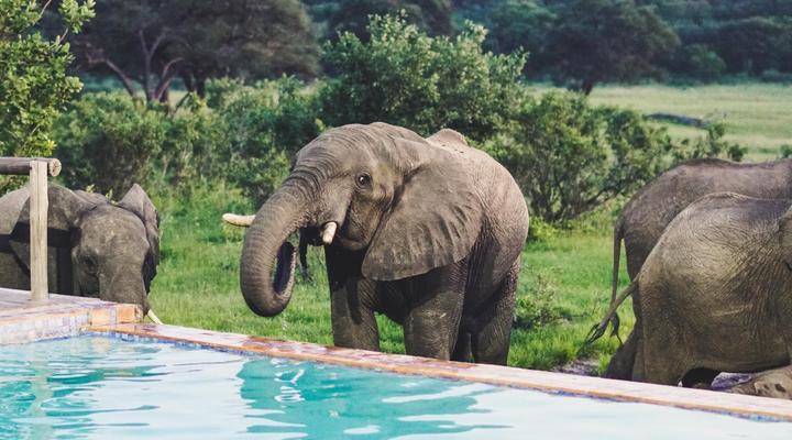 Iganyana Tented Camp