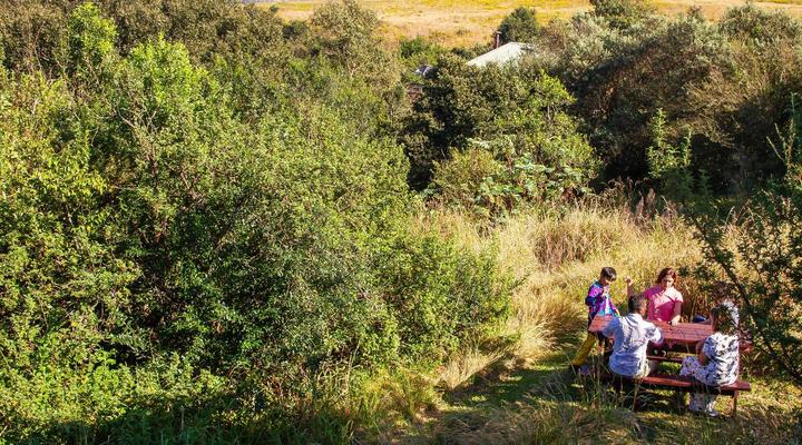 Midlands Forest Lodge