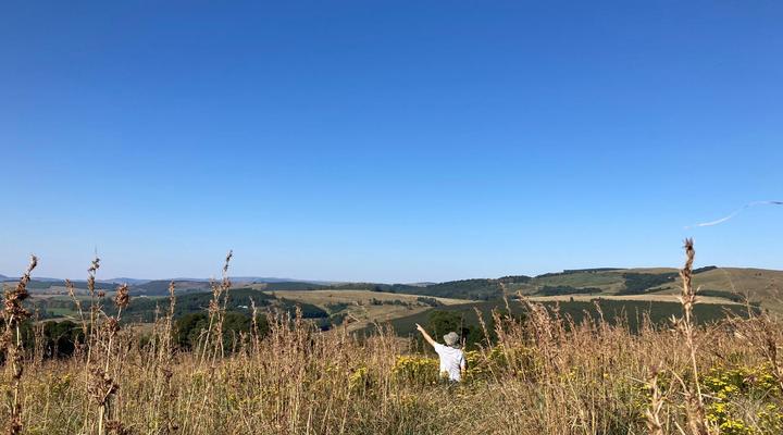 Midlands Forest Lodge