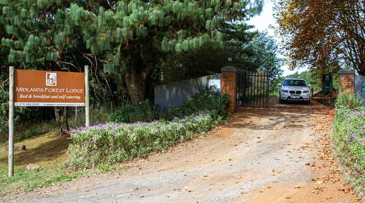 Midlands Forest Lodge