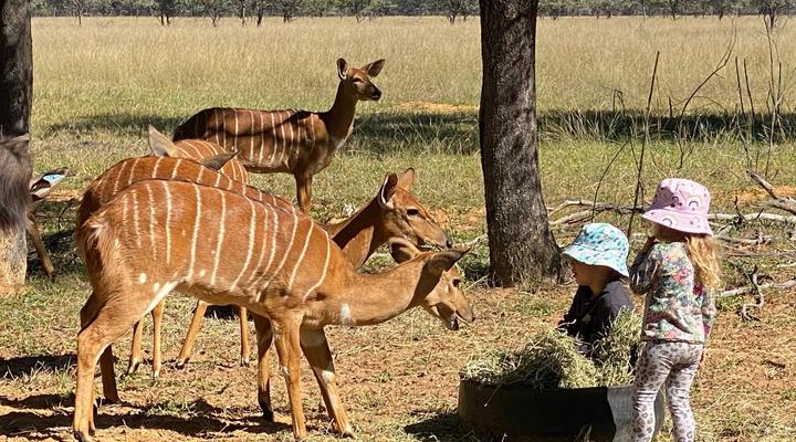 Limpopo Bushveld Retreat Private Campsite