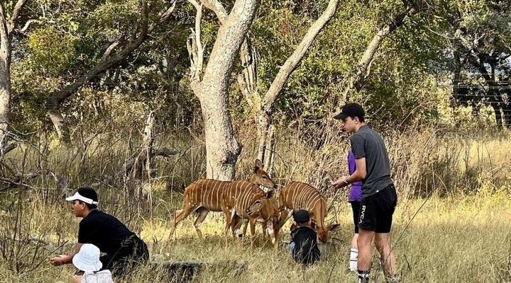 Limpopo Bushveld Retreat Private Campsite