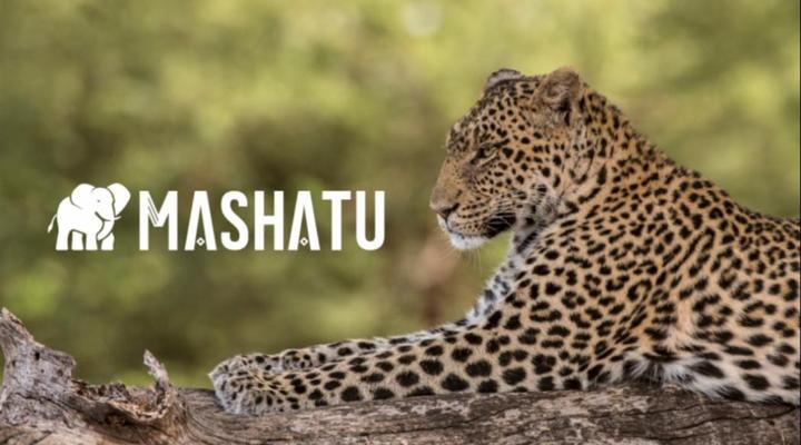 Euphorbia Mashatu - Mashatu Game Reserve