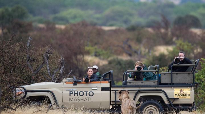 Euphorbia Mashatu - Mashatu Game Reserve