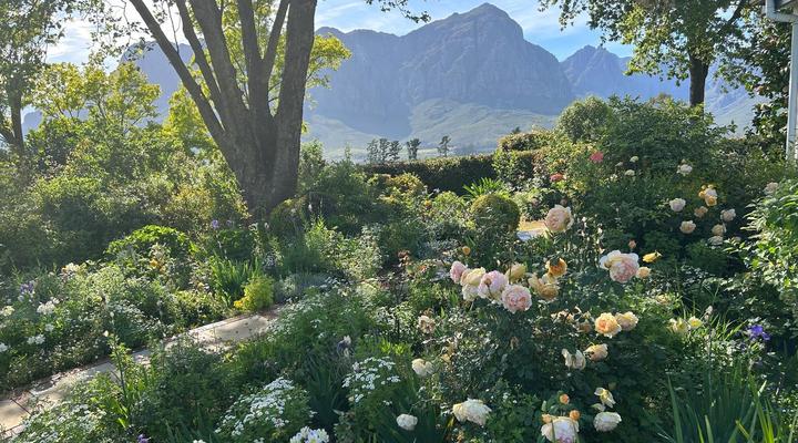 Camberley Wines Cottages