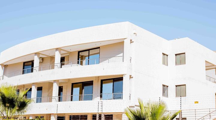 Urban Oasis at Auasblick