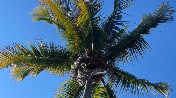 Vertigo Lodge de Estuario