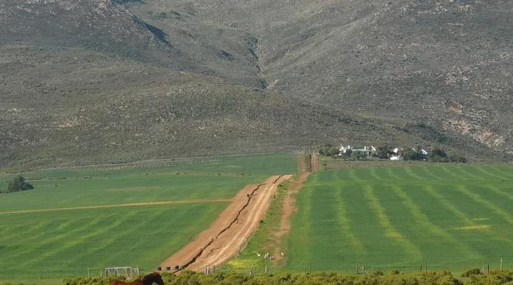Paradise in the Winelands