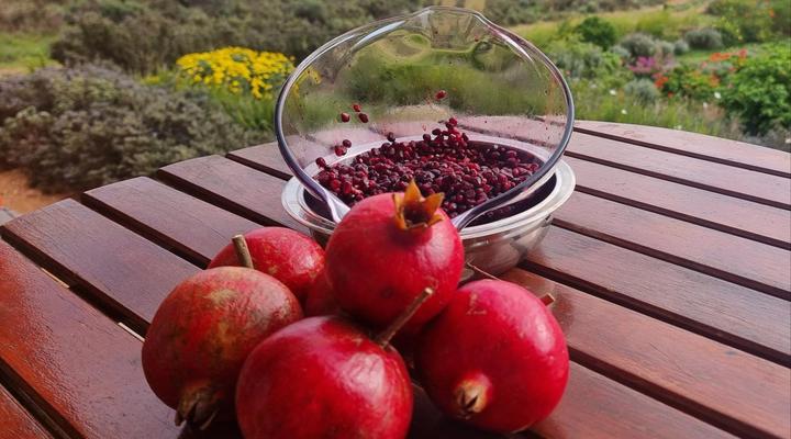 EcoDome Self-catering