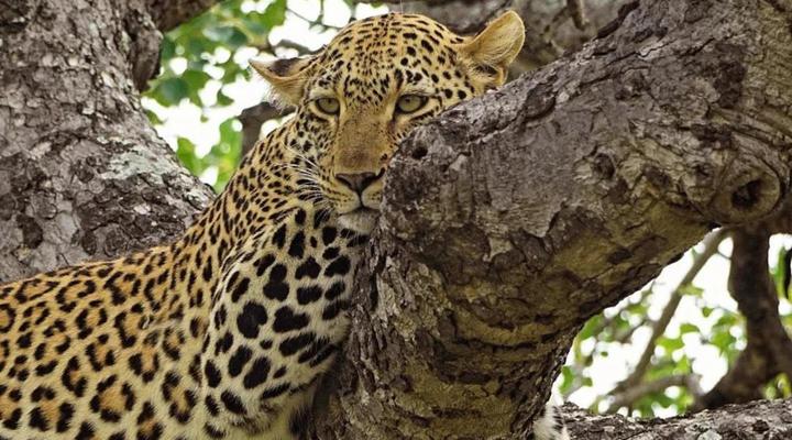 Maroelani Private Nature Reserve