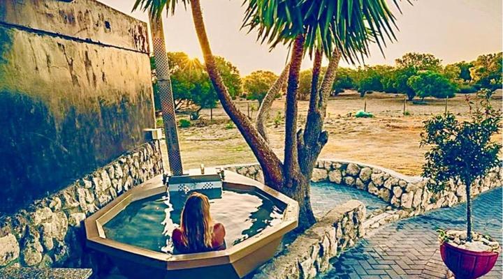 A Touch of Bushveld by the Sea