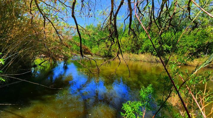 Wilge River Bush Camp