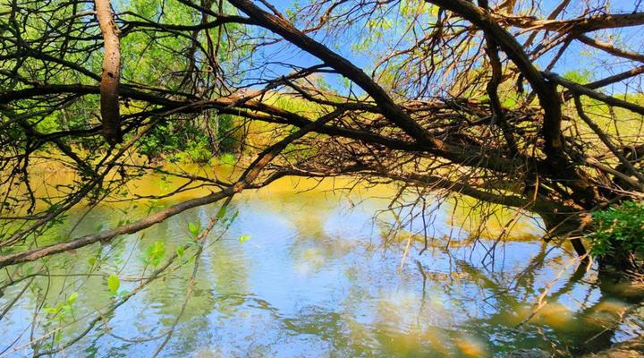 Wilge River Bush Camp