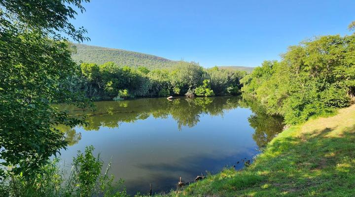 Wilge River Bush Camp