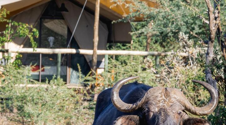 Tlouwana Camp