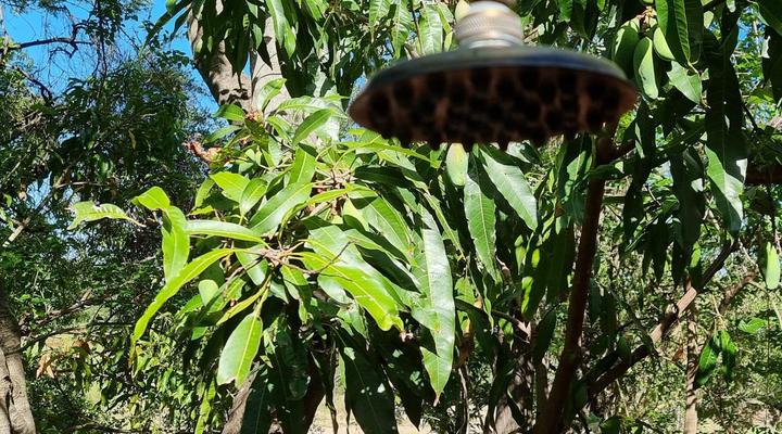 Paradise River Lodge