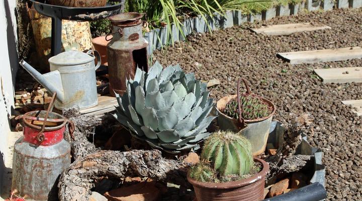 Vrugtegeur Guest Farms