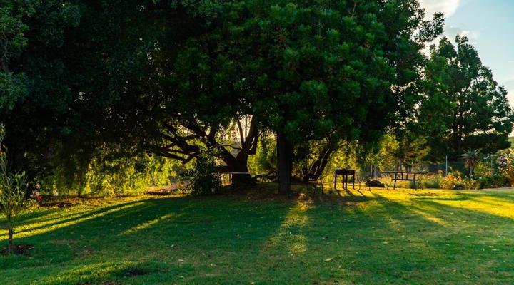 Vrugtegeur Guest Farms