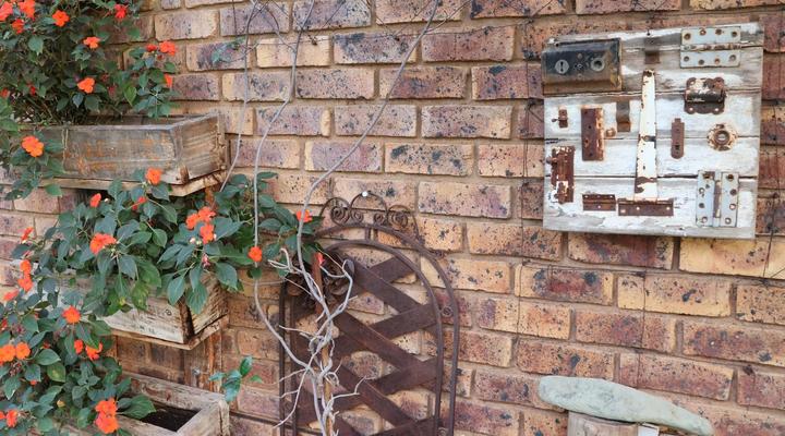 Monkey Thorn Cottage