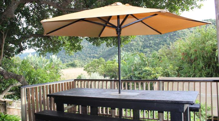 The Wild - in Wilderness