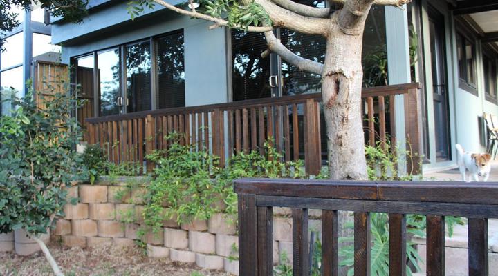 The Wild - in Wilderness