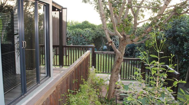 The Wild - in Wilderness