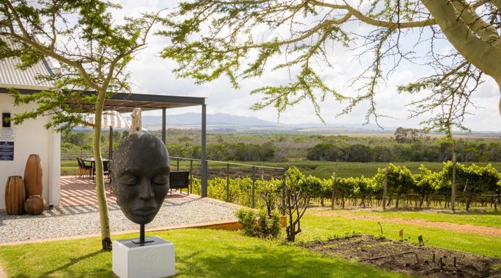 Zoetendal Vineyard & River Estate