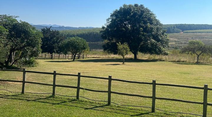 Shingalana White River