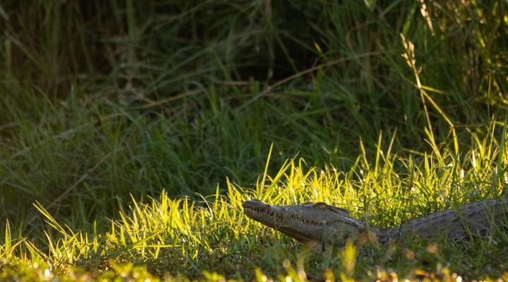 Mohlabetsi Self Catering Bush Lodge
