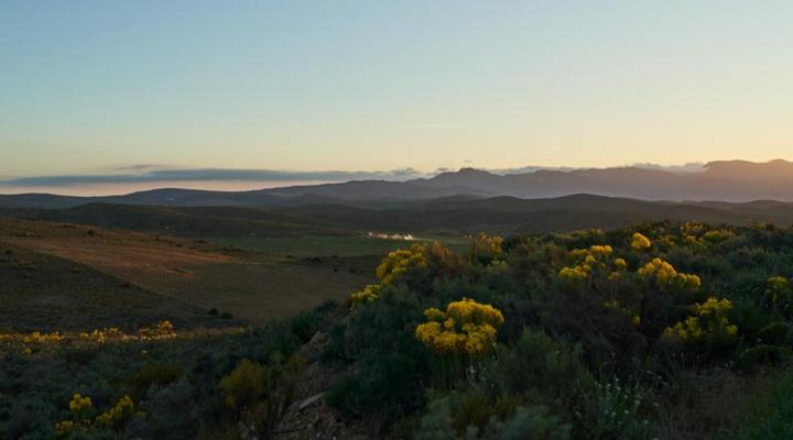 Smitten Guest Cottages