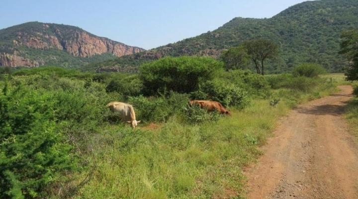 The Anza Lifestyle Lodge