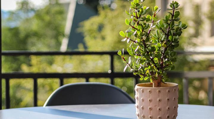 The Red Door Clarens