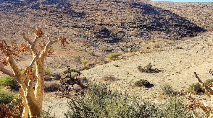 No. 227 Remhoogte Farming Accommodation