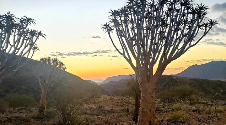 No. 227 Remhoogte Farming Accommodation