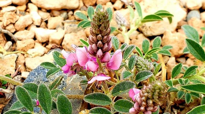 No. 227 Remhoogte Farming Accommodation